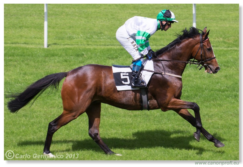 Bratislava - 19. máj 2013 
