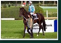 Slovenský St. Leger