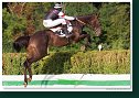 Veľká starohájska steeplechase