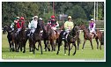 Veľká starohájska steeplechase