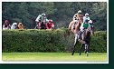 Veľká starohájska steeplechase