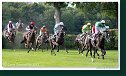 Veľká starohájska steeplechase