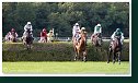 Veľká starohájska steeplechase