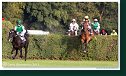 Veľká starohájska steeplechase
