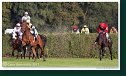 Veľká starohájska steeplechase