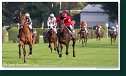 Veľká starohájska steeplechase