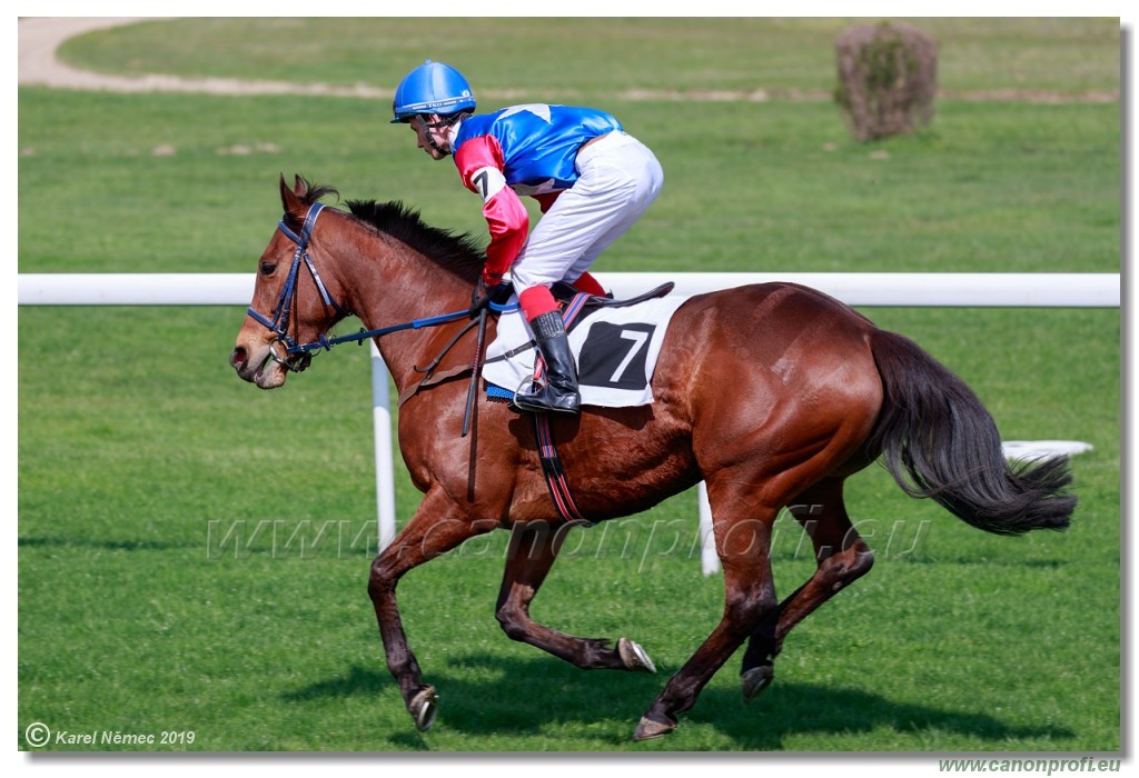 Bratislava - 07. aprl 2019 