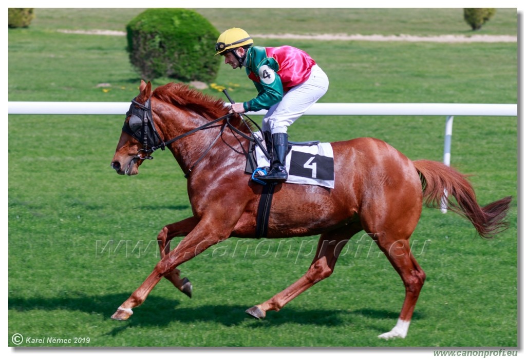 Bratislava - 07. aprl 2019 
