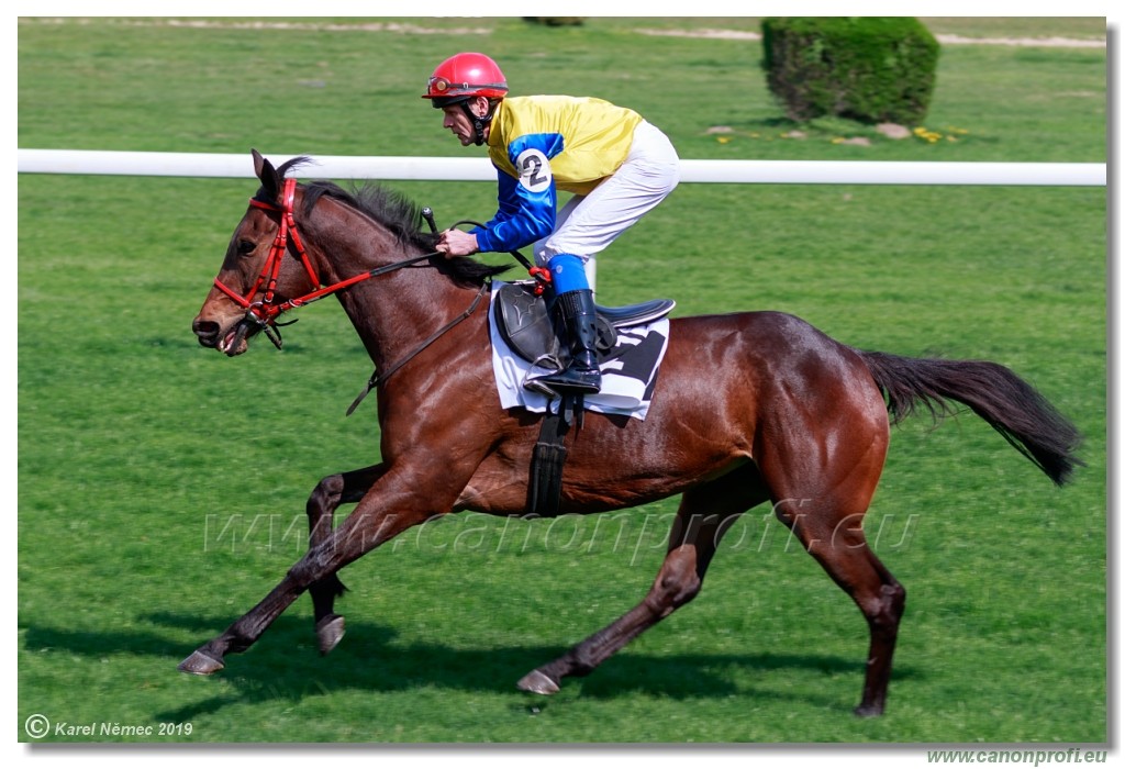 Bratislava - 07. aprl 2019 