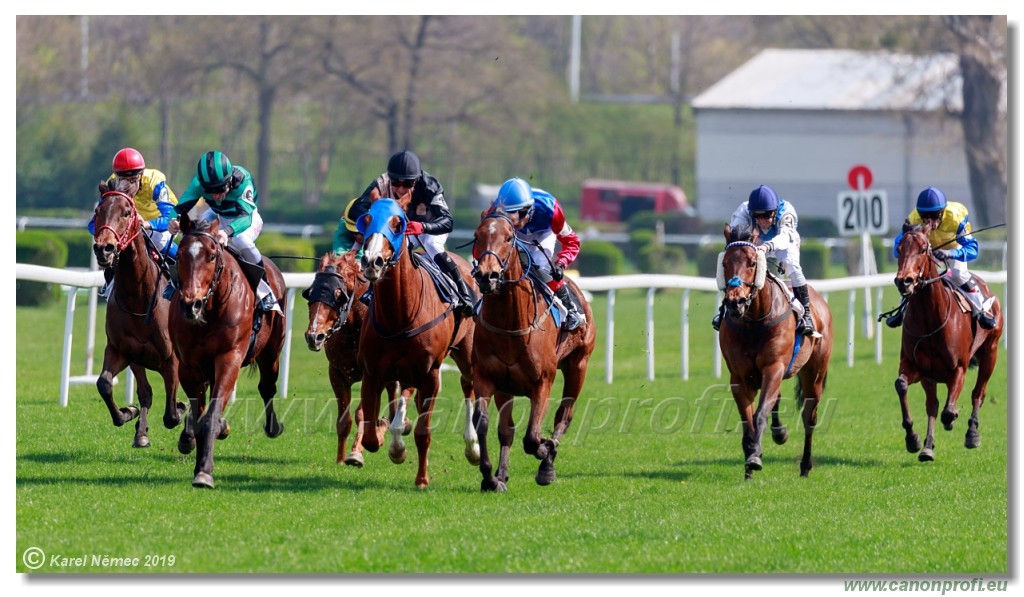 Bratislava - 07. aprl 2019 