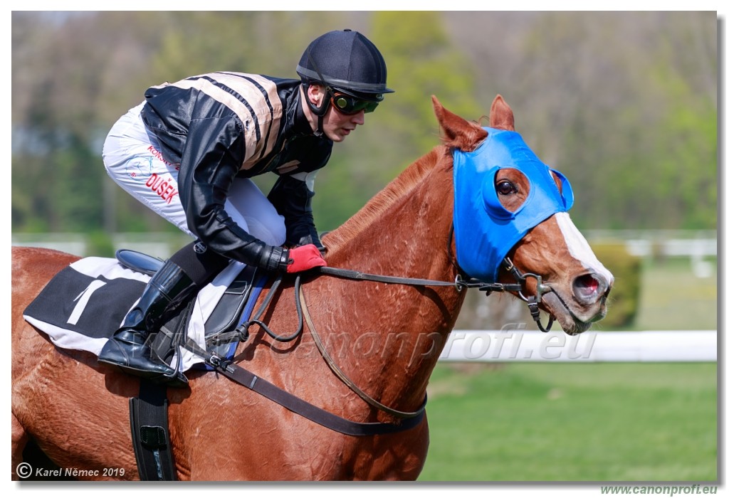 Bratislava - 07. aprl 2019 