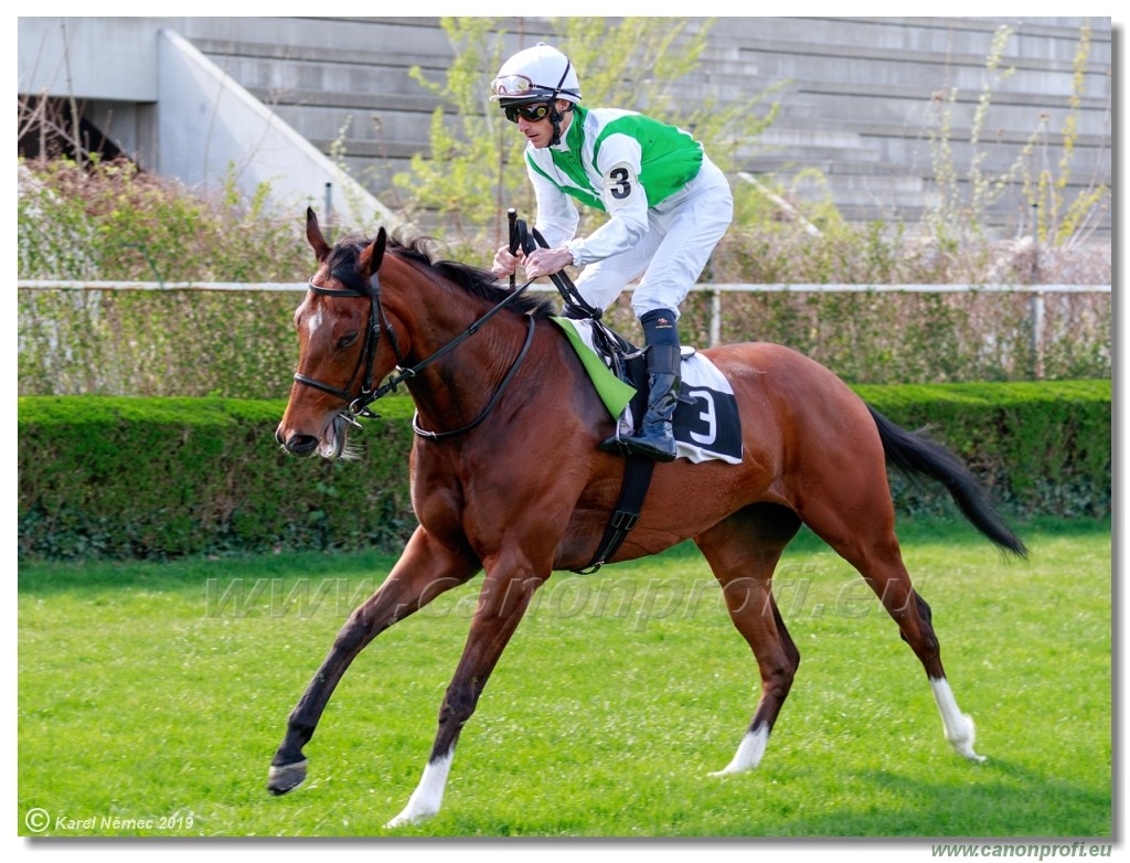 Bratislava - 07. aprl 2019 