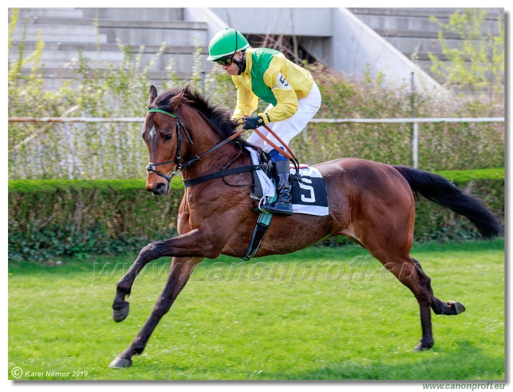 Bratislava - 07. aprl 2019 