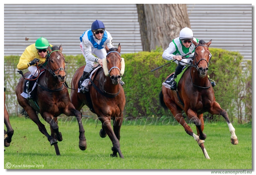 Bratislava - 07. aprl 2019 