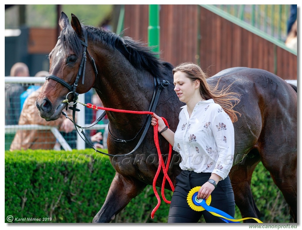 Bratislava - 07. aprl 2019 