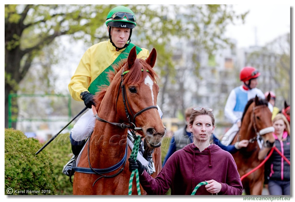 Bratislava - 07. aprl 2019 