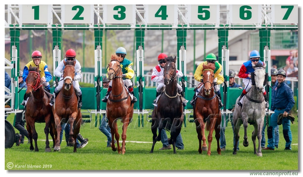 Bratislava - 07. aprl 2019 