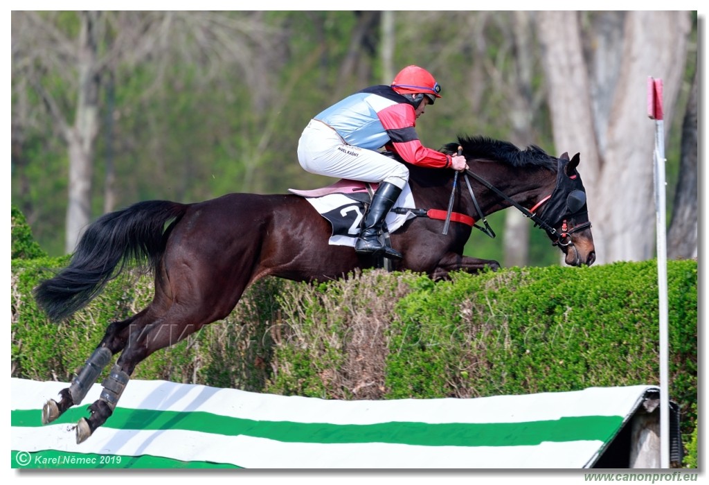 Bratislava - 07. aprl 2019 