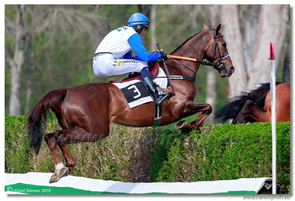 Bratislava - 07. aprl 2019 