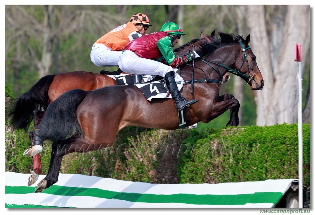 Bratislava - 07. aprl 2019 