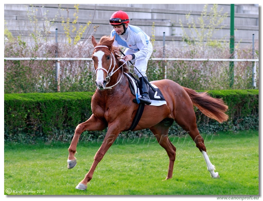 Bratislava - 07. aprl 2019 