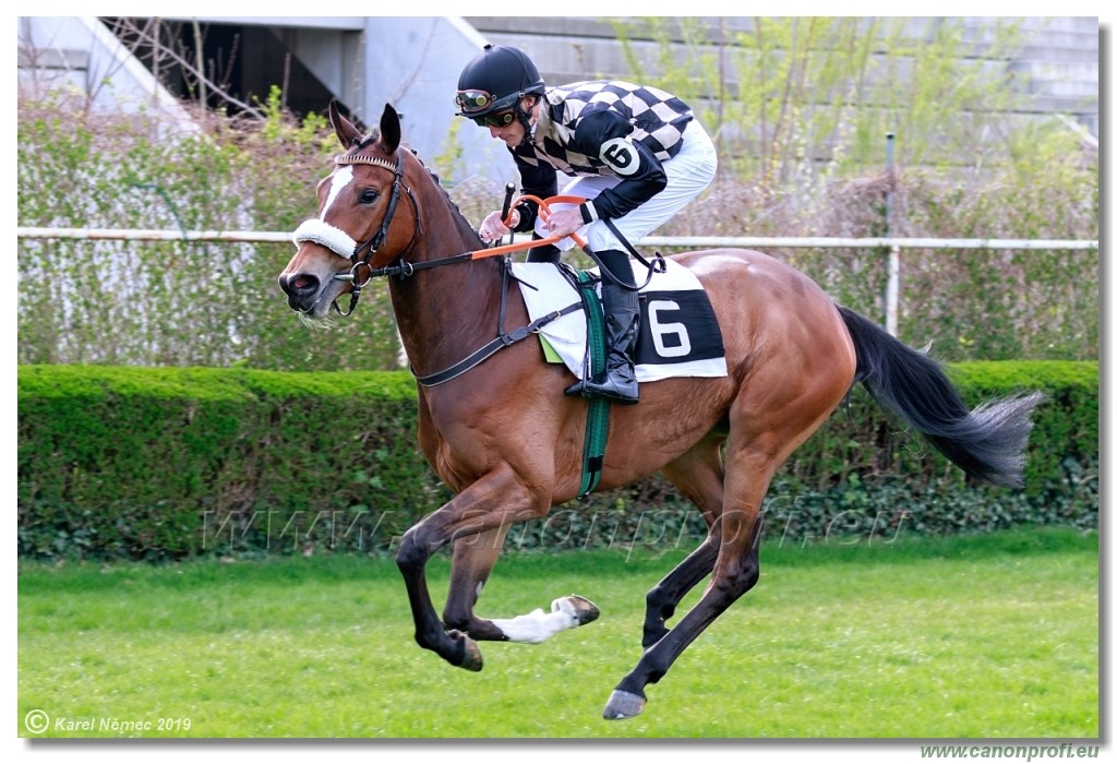 Bratislava - 07. aprl 2019 