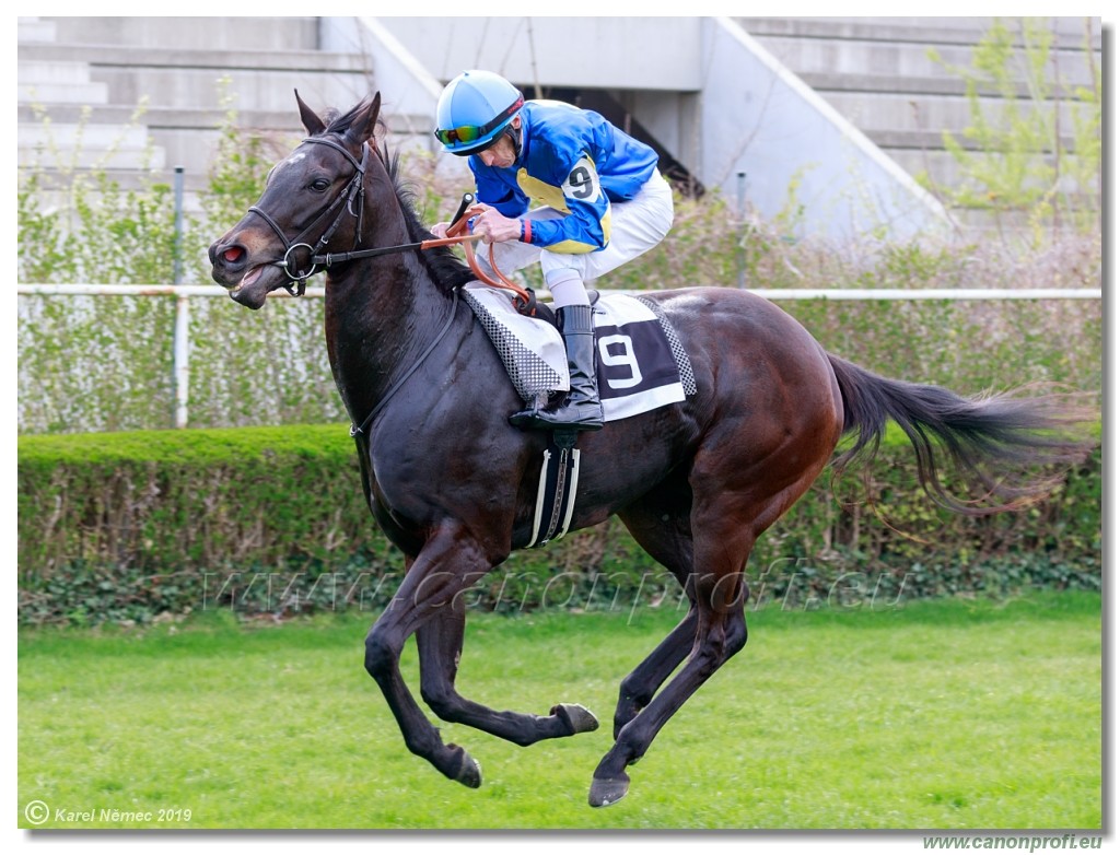 Bratislava - 07. aprl 2019 