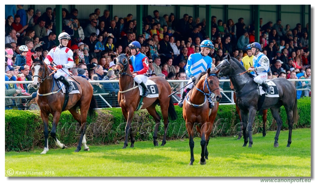 Bratislava - 07. aprl 2019 