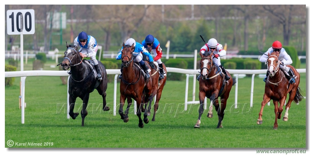 Bratislava - 07. aprl 2019 