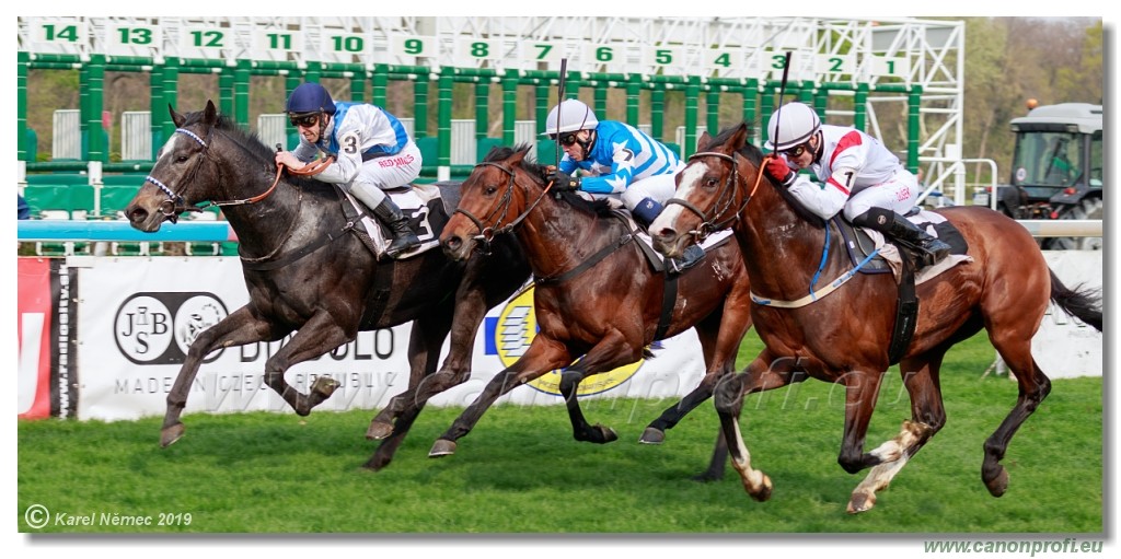 Bratislava - 07. aprl 2019 