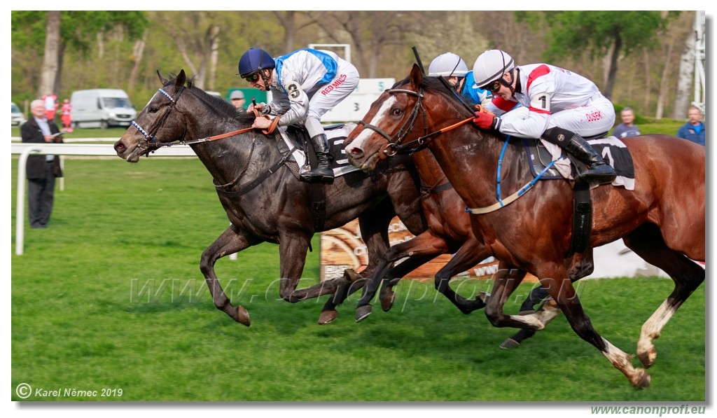 Bratislava - 07. aprl 2019 
