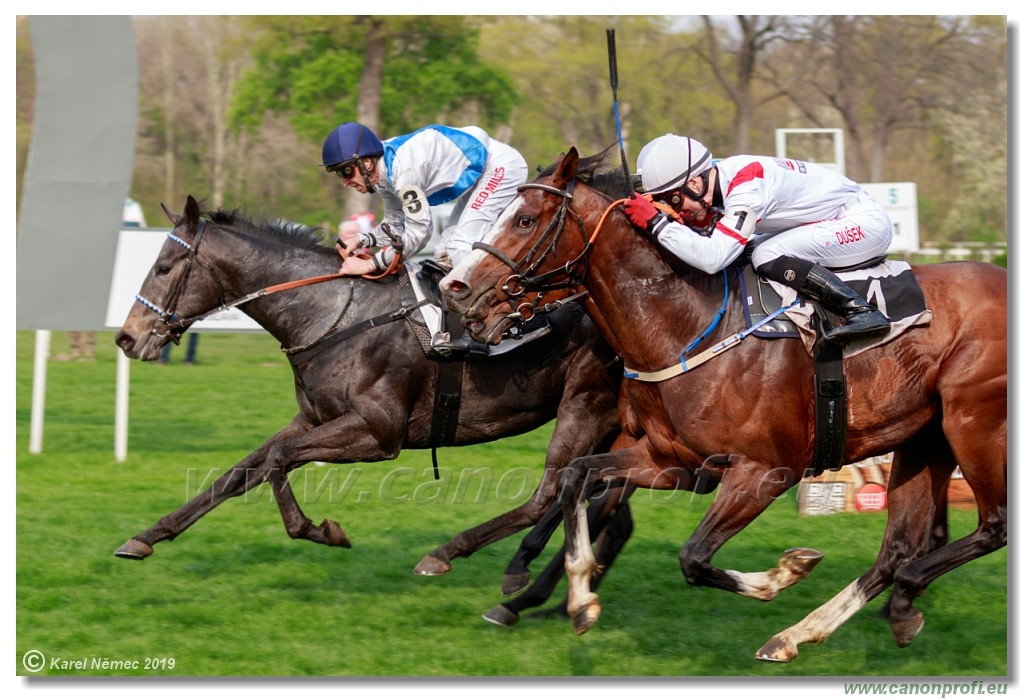 Bratislava - 07. aprl 2019 