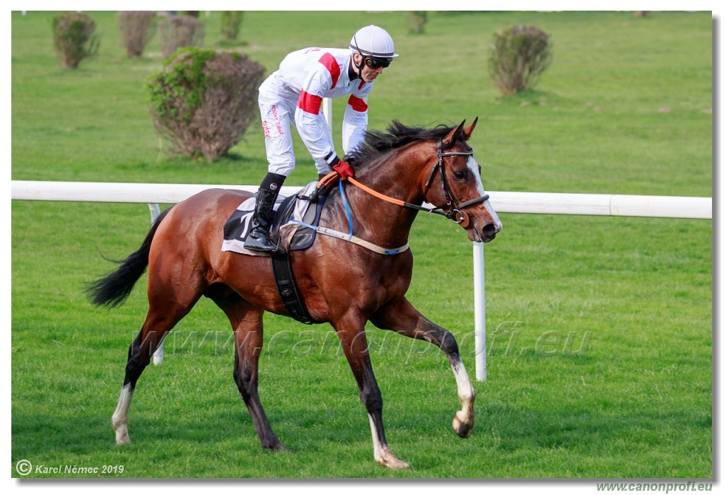 Bratislava - 07. aprl 2019 
