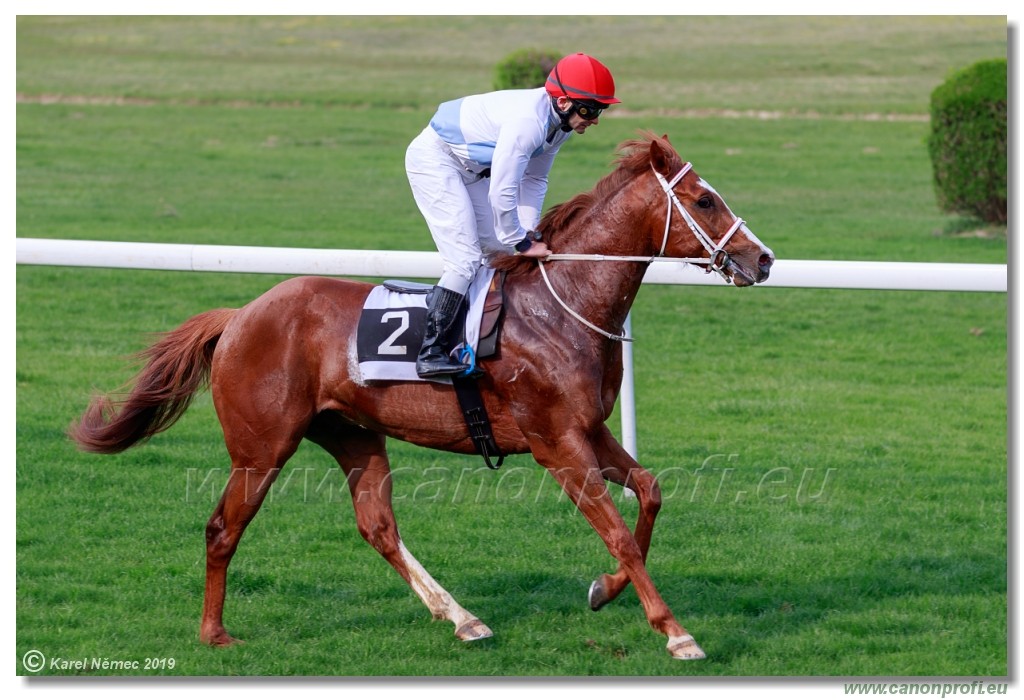 Bratislava - 07. aprl 2019 