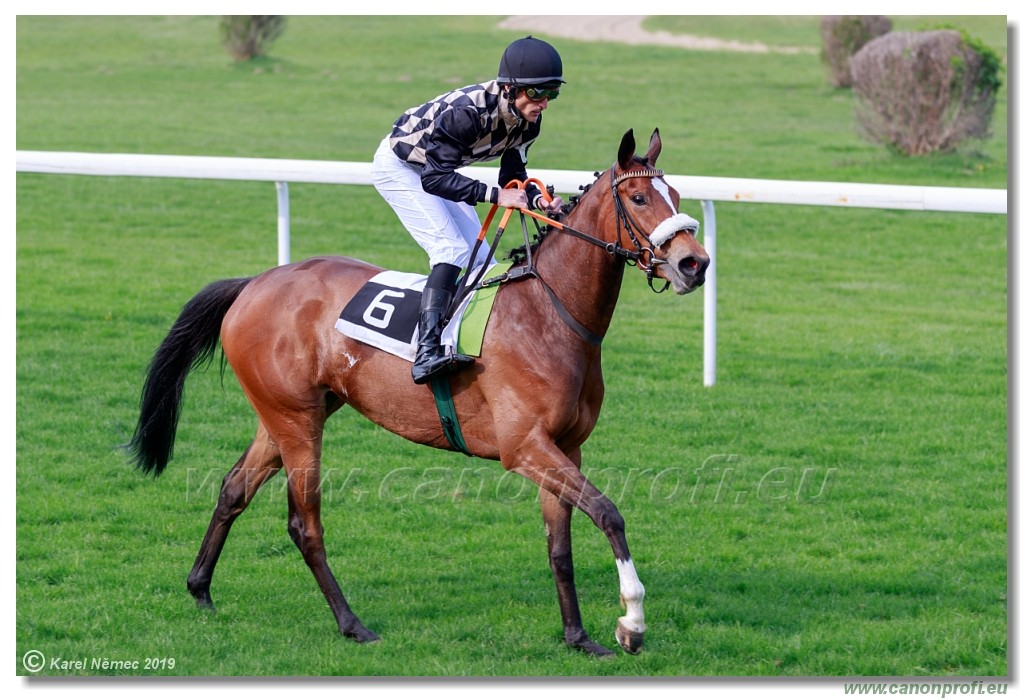 Bratislava - 07. aprl 2019 