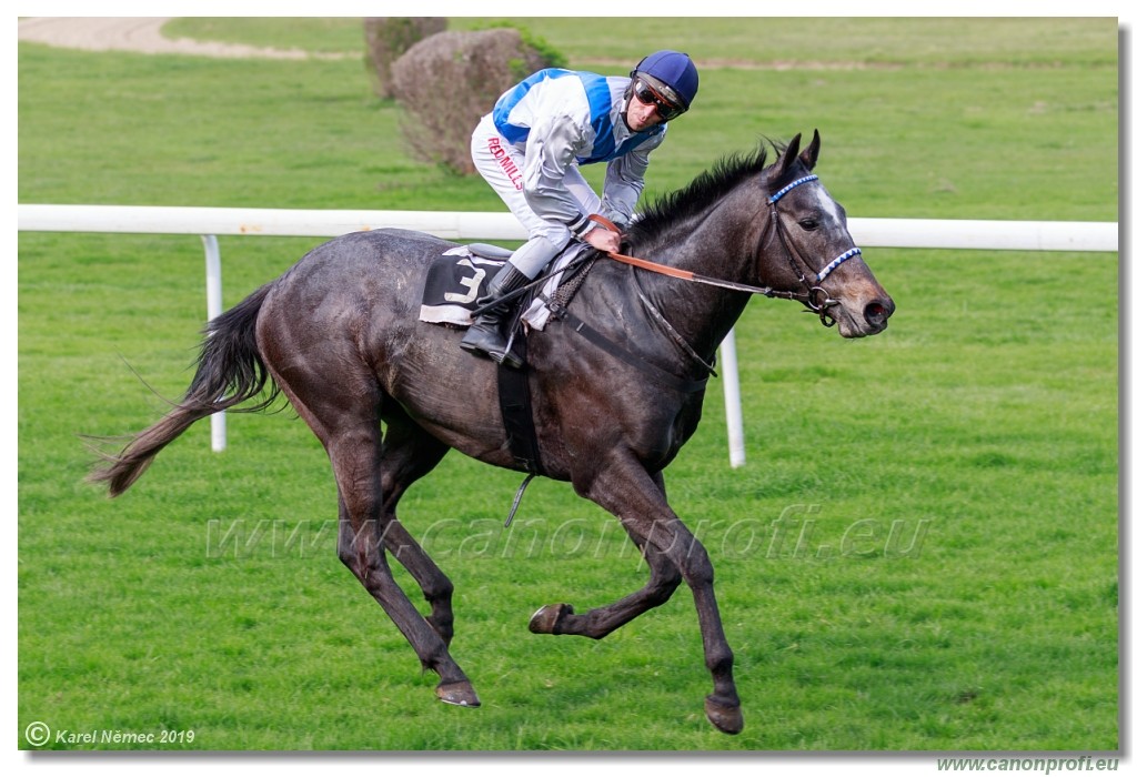 Bratislava - 07. aprl 2019 