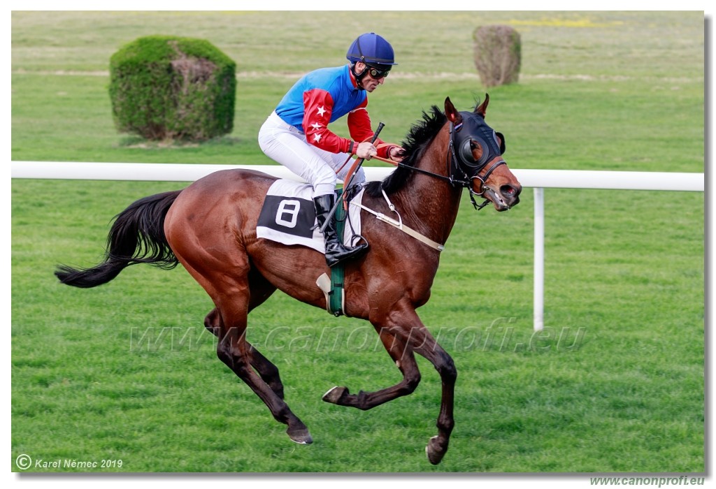 Bratislava - 07. aprl 2019 