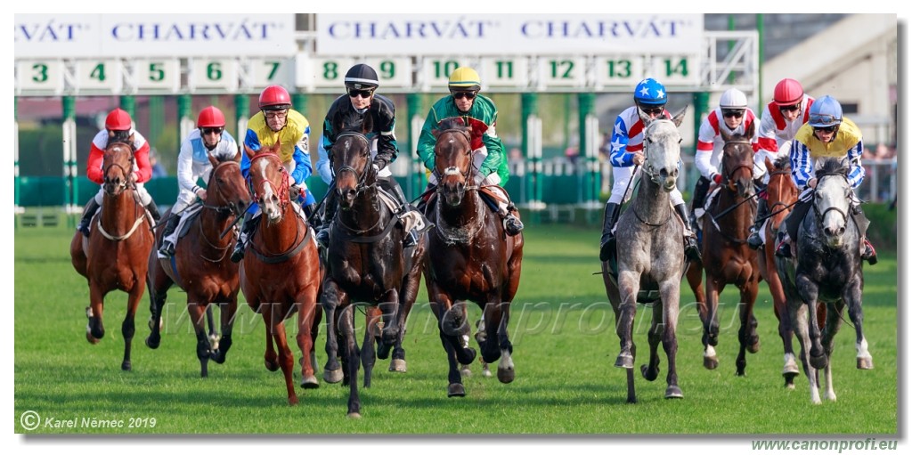 Bratislava - 07. aprl 2019 