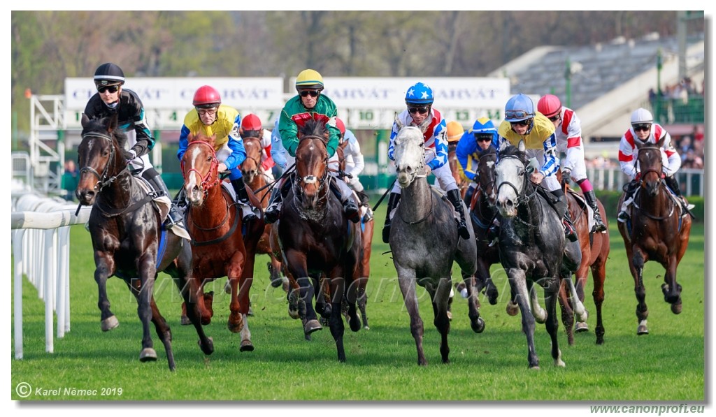Bratislava - 07. aprl 2019 