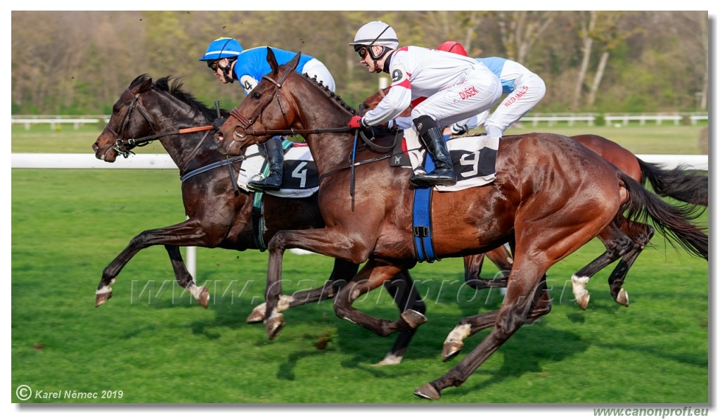 Bratislava - 07. aprl 2019 