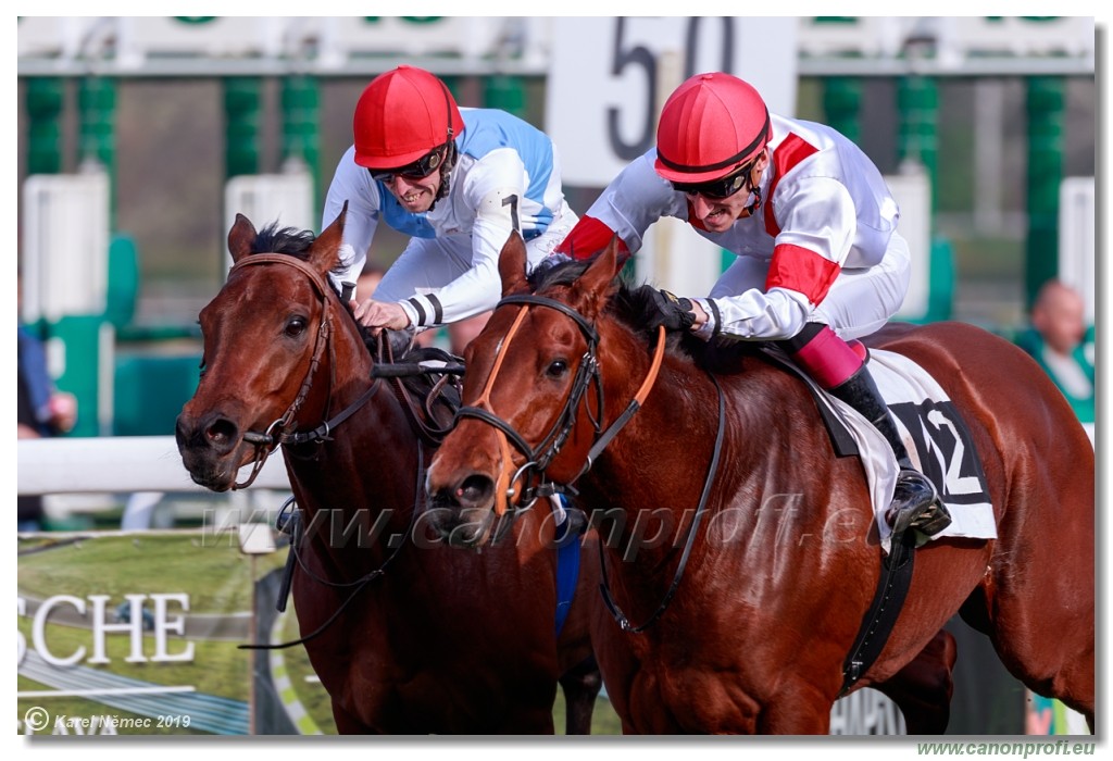 Bratislava - 07. aprl 2019 
