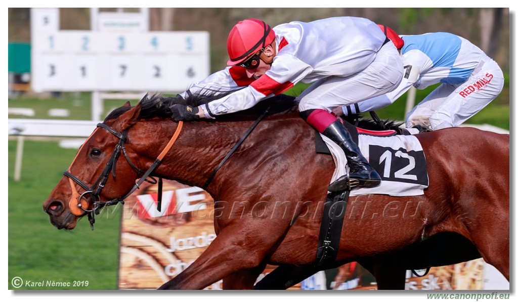 Bratislava - 07. aprl 2019 