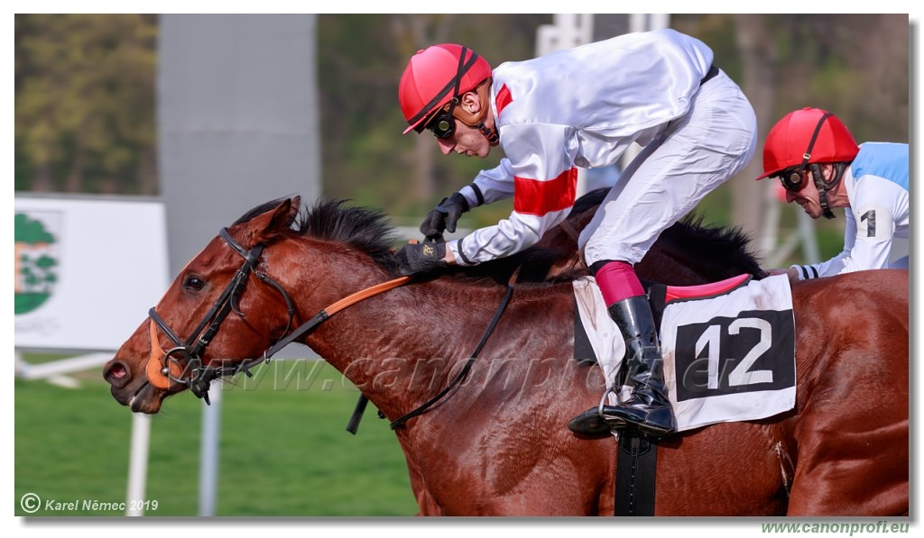Bratislava - 07. aprl 2019 
