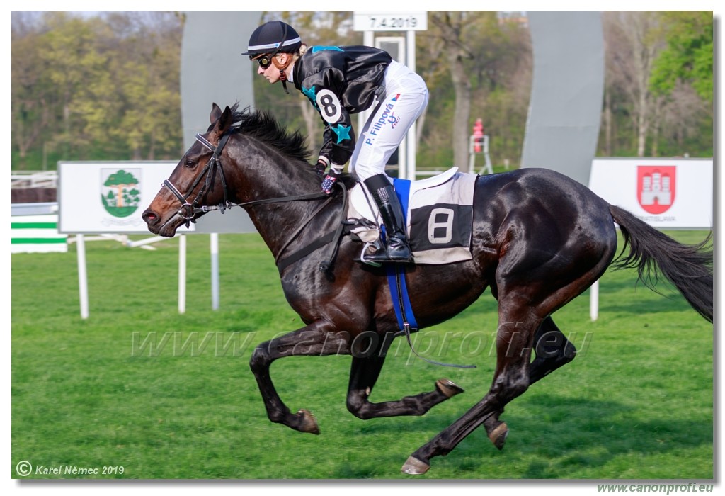 Bratislava - 07. aprl 2019 