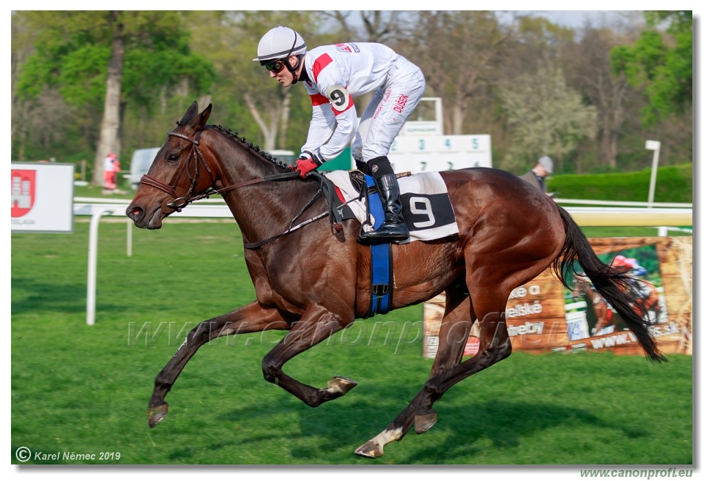 Bratislava - 07. aprl 2019 