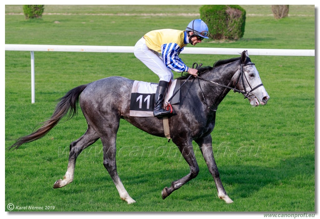 Bratislava - 07. aprl 2019 