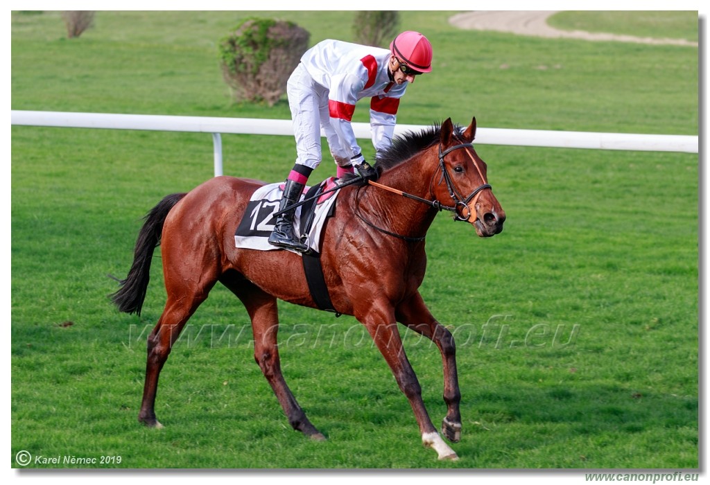 Bratislava - 07. aprl 2019 