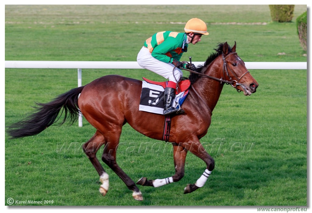Bratislava - 07. aprl 2019 