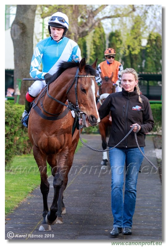 Bratislava - 07. aprl 2019 