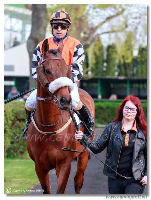 Bratislava - 07. aprl 2019 